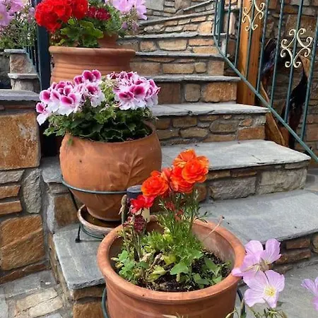 Holiday home Islandtime Studio1